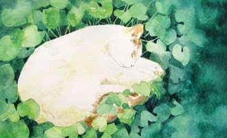 代理记账实习报告（代理记账实训报告）